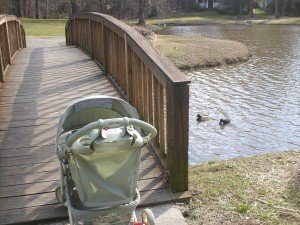 2010-01-26 - Stroller, Ducks and the Bridge