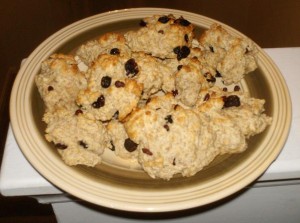 2010-03-18 - Homemade Biscuits