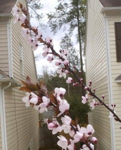 2010-03-23 - Spring Is Here