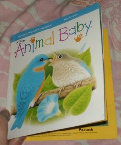 2010-04-01 - Baby Book