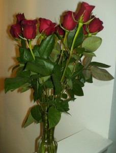 2010-06-08 - Roses