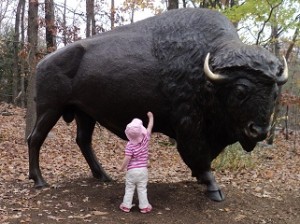 2011-11-20 - Bison Statue