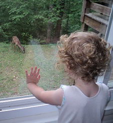 2012-05-02 - Katie Sees A Deer