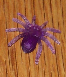 2012-07-15 - Purple Plastic Spider
