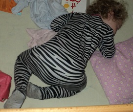 2012-08-05 - Sleeping Zebra