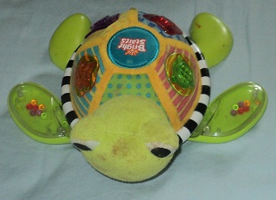 2012-08-15 - Musical Turtle