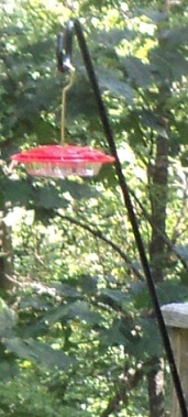 2012-09-22 - The Hummingbird Feeder