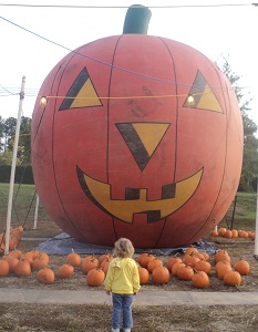 2012-10-14 - The Great Pumpkin