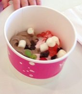 2013-08-17 -Frozen Yogurt