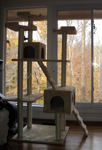 2013-11-16 - Cat Tree