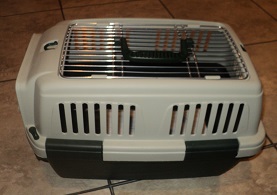 2013-12-03 - Cat Carrier