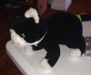 2014-01-15 - Stuffed Cat