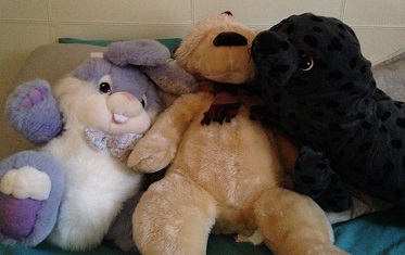 2014-03-18 - Stuffed Animals