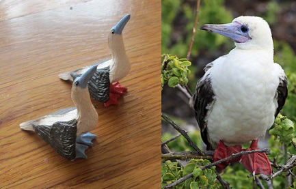 2014-04-06 - Galapagos Birds