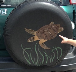 2014-09-01 - Sea Turtle Tire