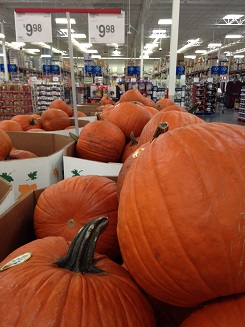 2014-10-15 - Sam's Club Pumpkins