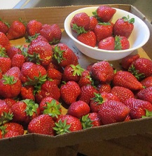 2015-05-05 - Strawberries