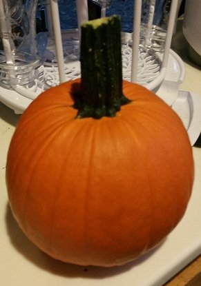 2015-10-07 - Farm Pumpkin