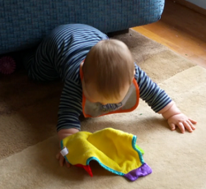 2016-01-12 - Ready To Crawl