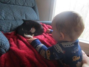 2016-02-22 - Kitty Love