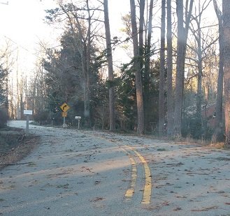 2016-02-25 - Branches On Road