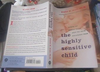 2016-02-29 - Sensitive Child Book