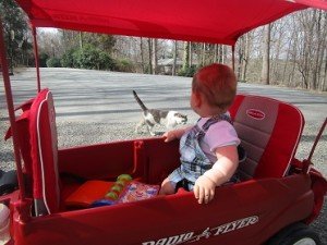 2016-03-13 - Red Wagon