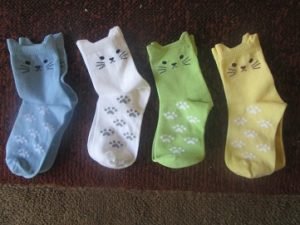 2016-04-12 - Socks For Katie