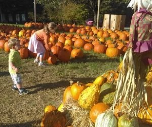 2016-10-15-pumpkin-shopping