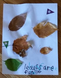 2016-11-20-leaf-art