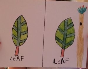 2017-07-22 - Drawing A Leaf