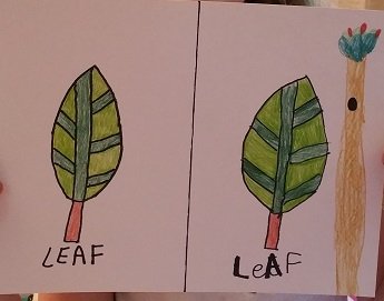 2017-07-22 - Drawing A Leaf