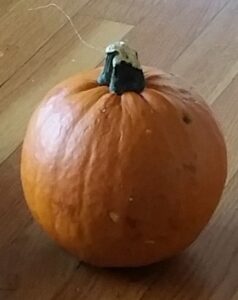 2017-11-09 - The Little Pumpkin