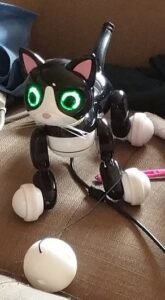 2017-12-02 - Robo Kitty