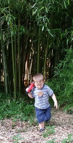 2018-06-13 - Bamboo Bobby